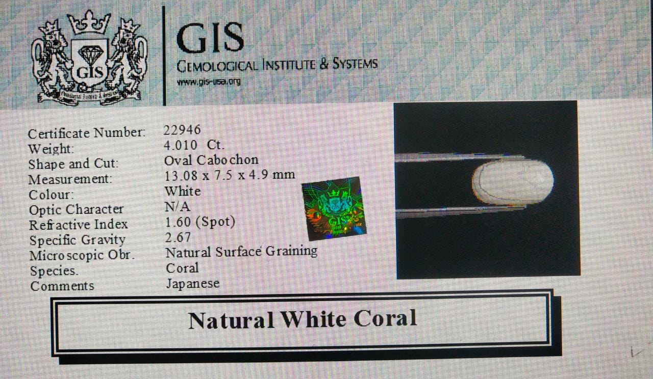 WC269 4 White Coral 4.01 Ct.