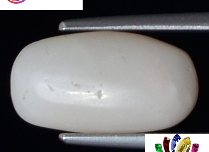 WC270 1 e1680691802418 White Coral 4.98 Ct.