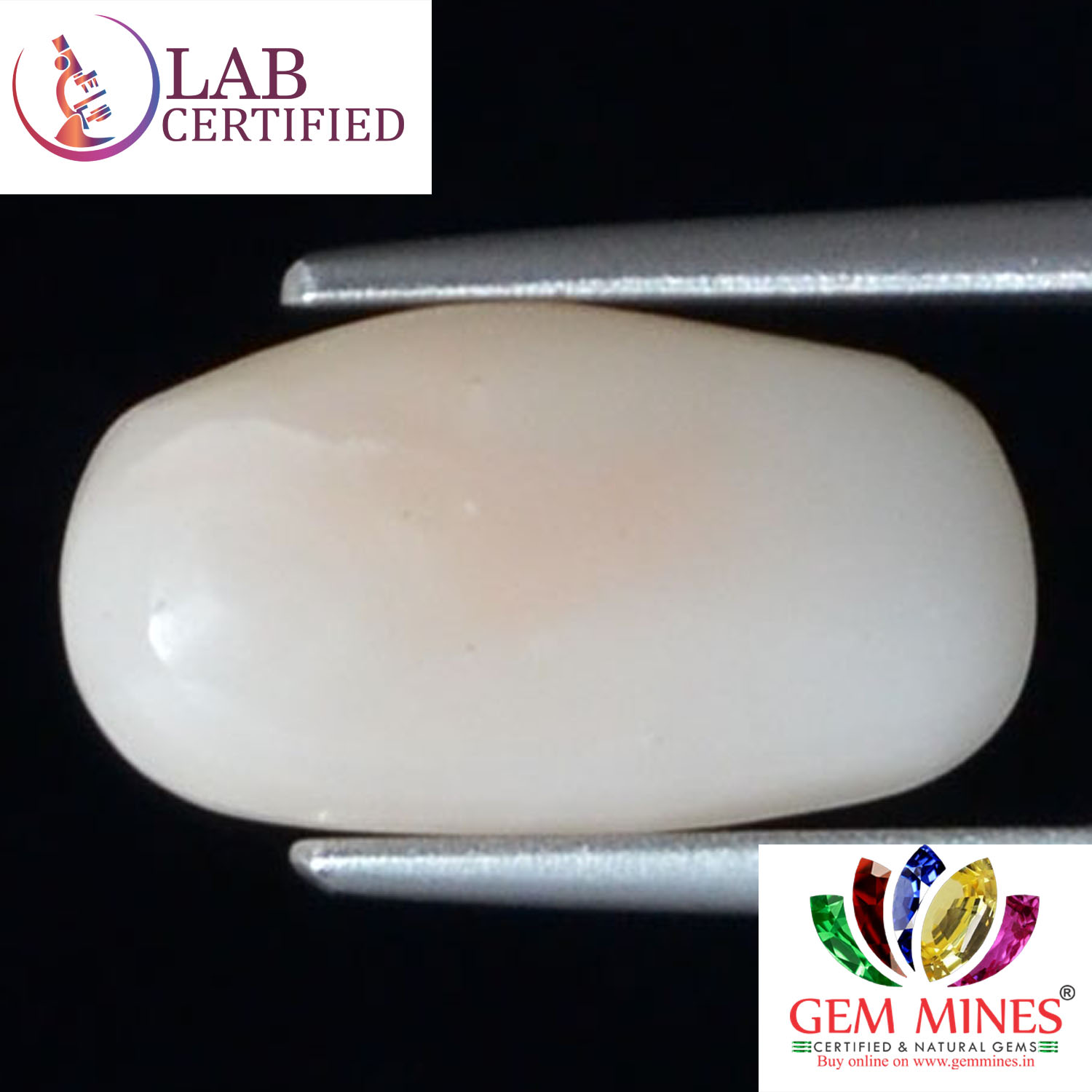 WC270 2 White Coral 4.98 Ct.