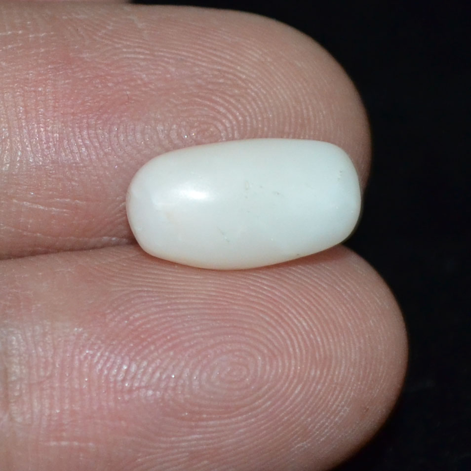WC270 3 White Coral 4.98 Ct.
