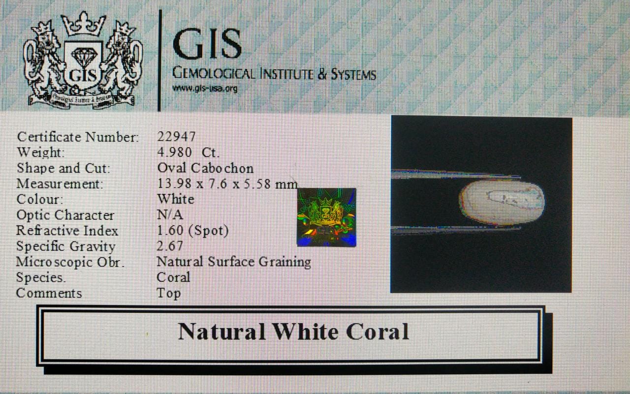 WC270 4 White Coral 4.98 Ct.