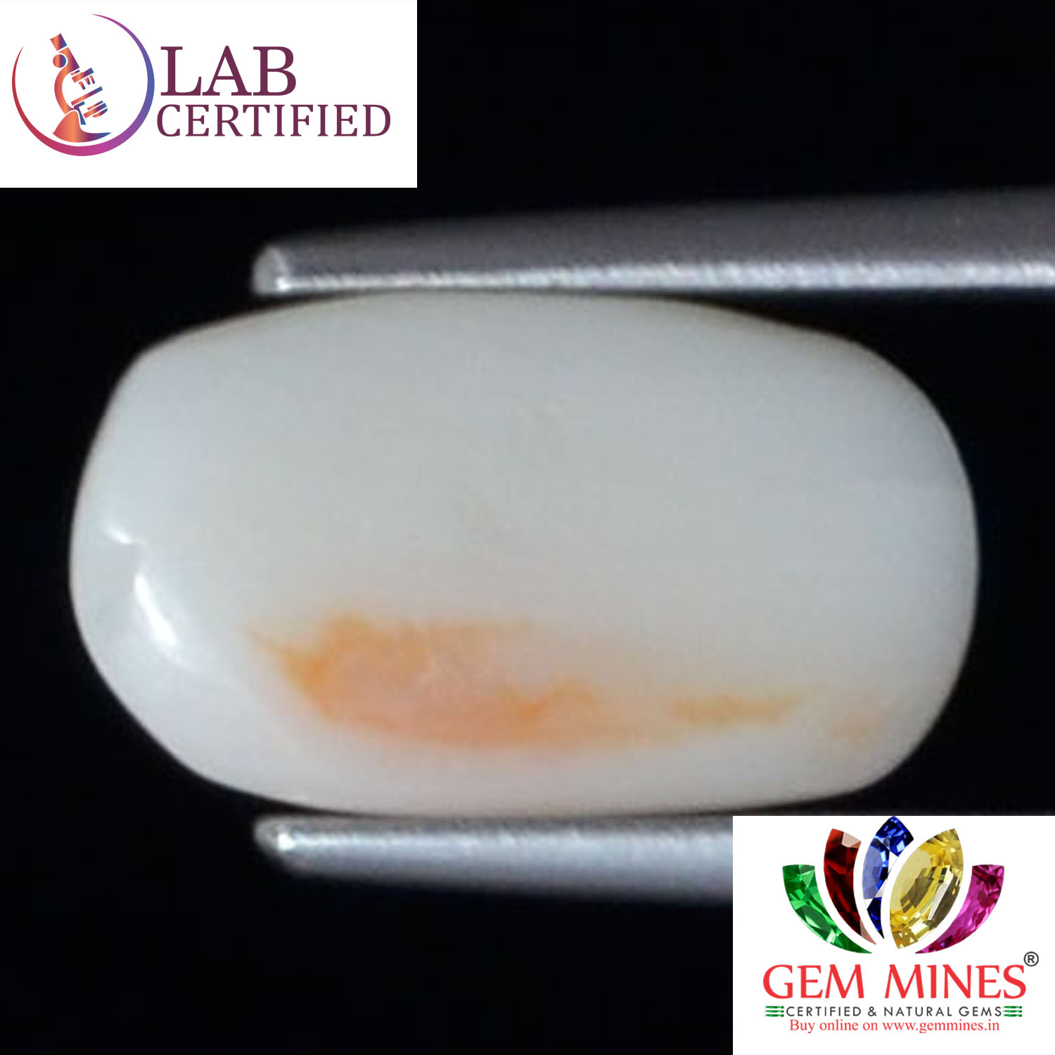 White Coral 2.55 Ct. 3 WC271 2 White Coral 2.55 Ct.