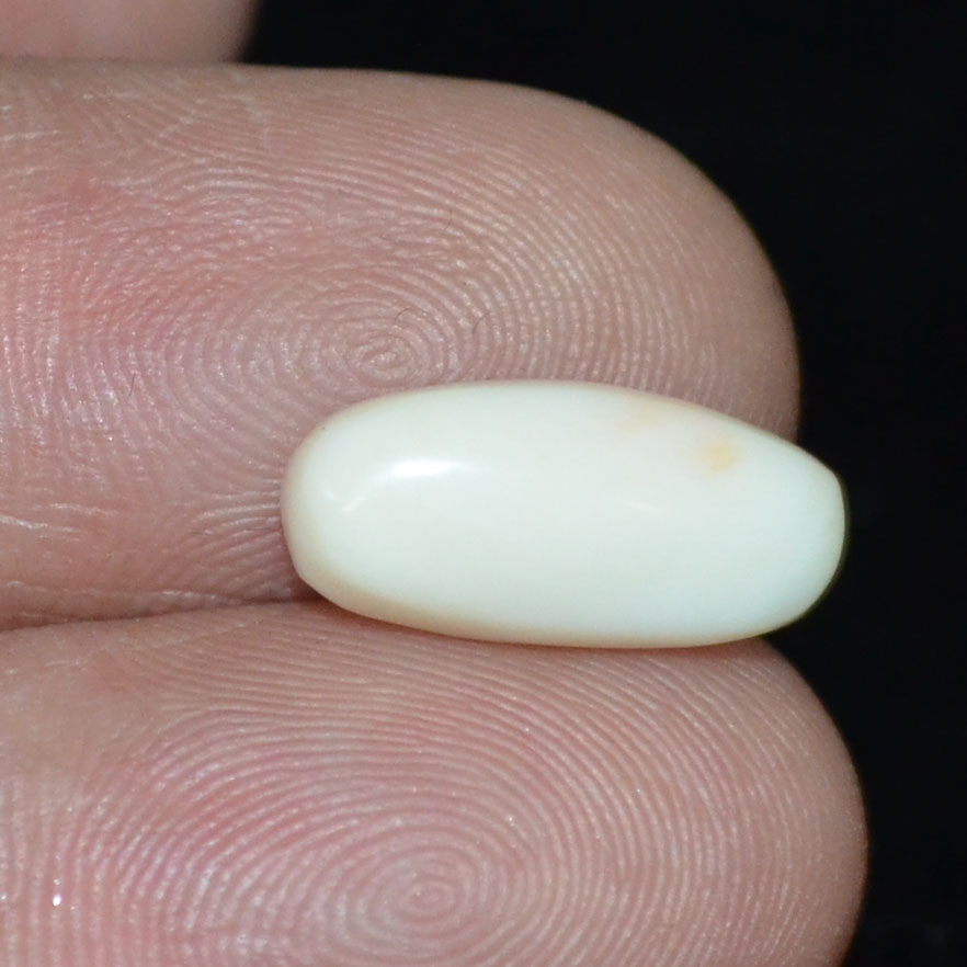 WC272 3 White Coral 4 Ct.