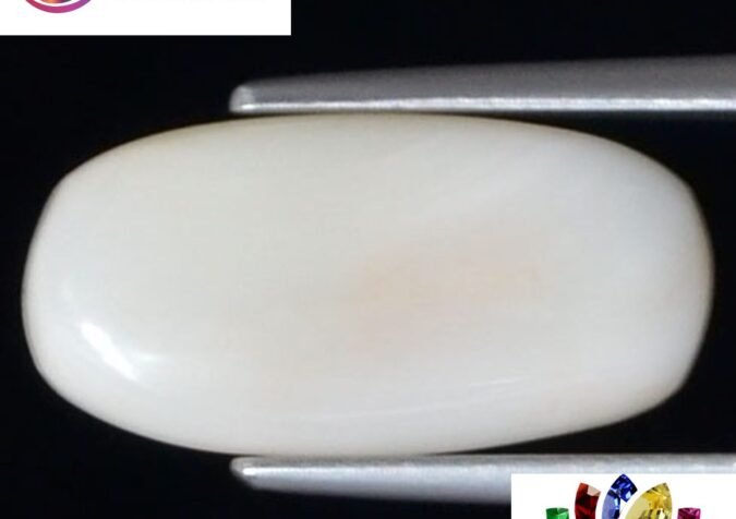 WC273 1 e1680691807453 White Coral 3.76 Ct.
