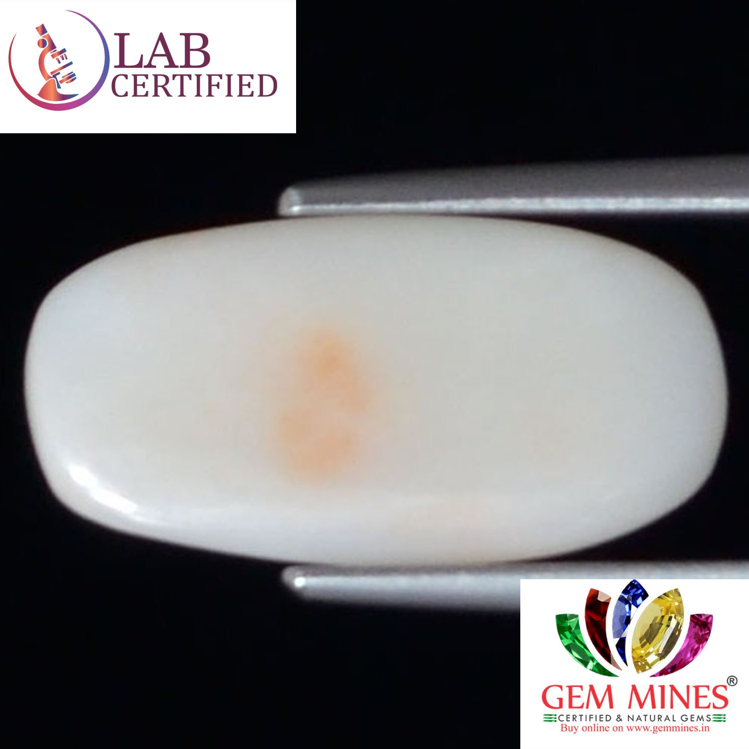 WC273 2 White Coral 3.76 Ct.