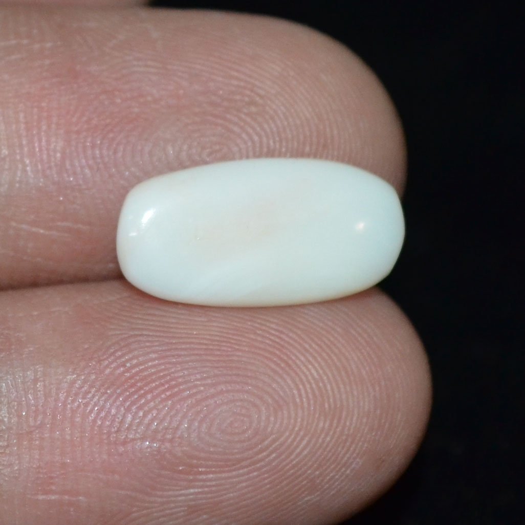 WC273 3 White Coral 3.76 Ct.