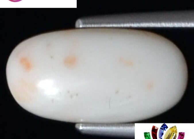 WC274 1 e1680691814778 White Coral 3.33 Ct.