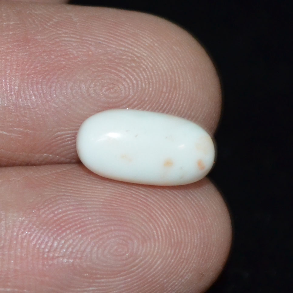 WC274 3 White Coral 3.33 Ct.