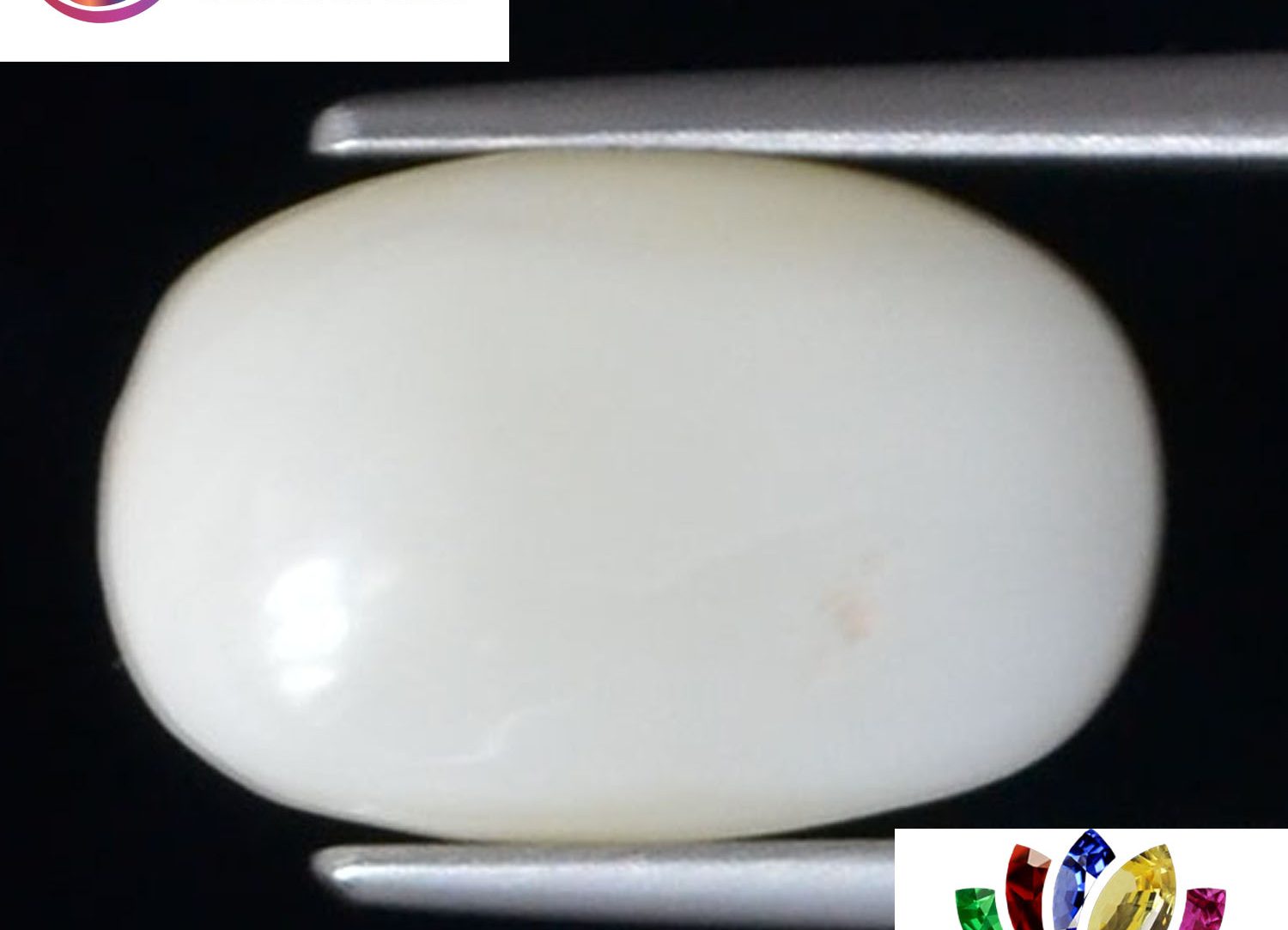 White Coral 4.13 Ct.