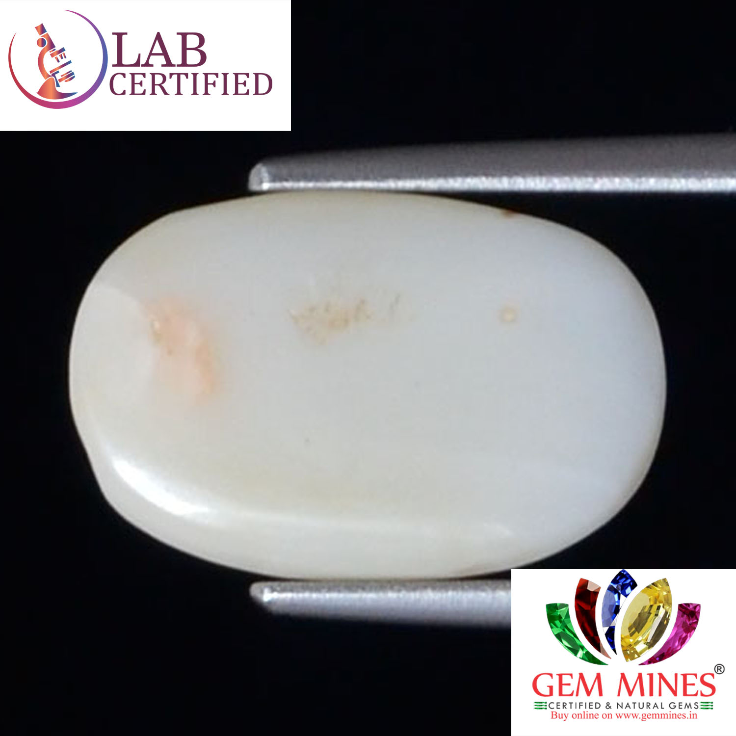 White Coral 4.13 Ct. 3 WC276 2 White Coral 4.13 Ct.