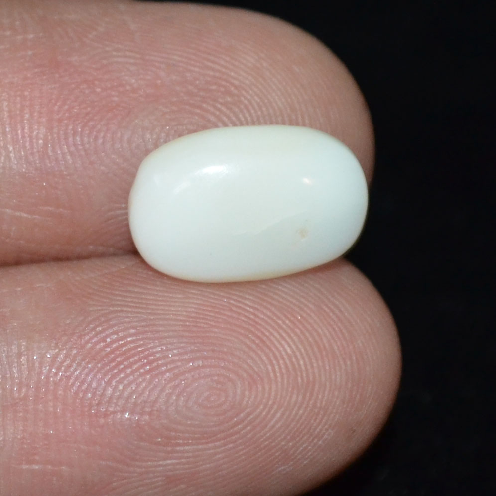 White Coral 4.13 Ct. 4 WC276 3 White Coral 4.13 Ct.