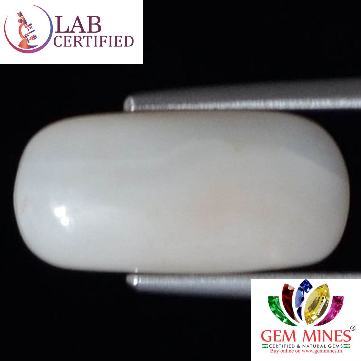 White Coral 3.7 Ct.