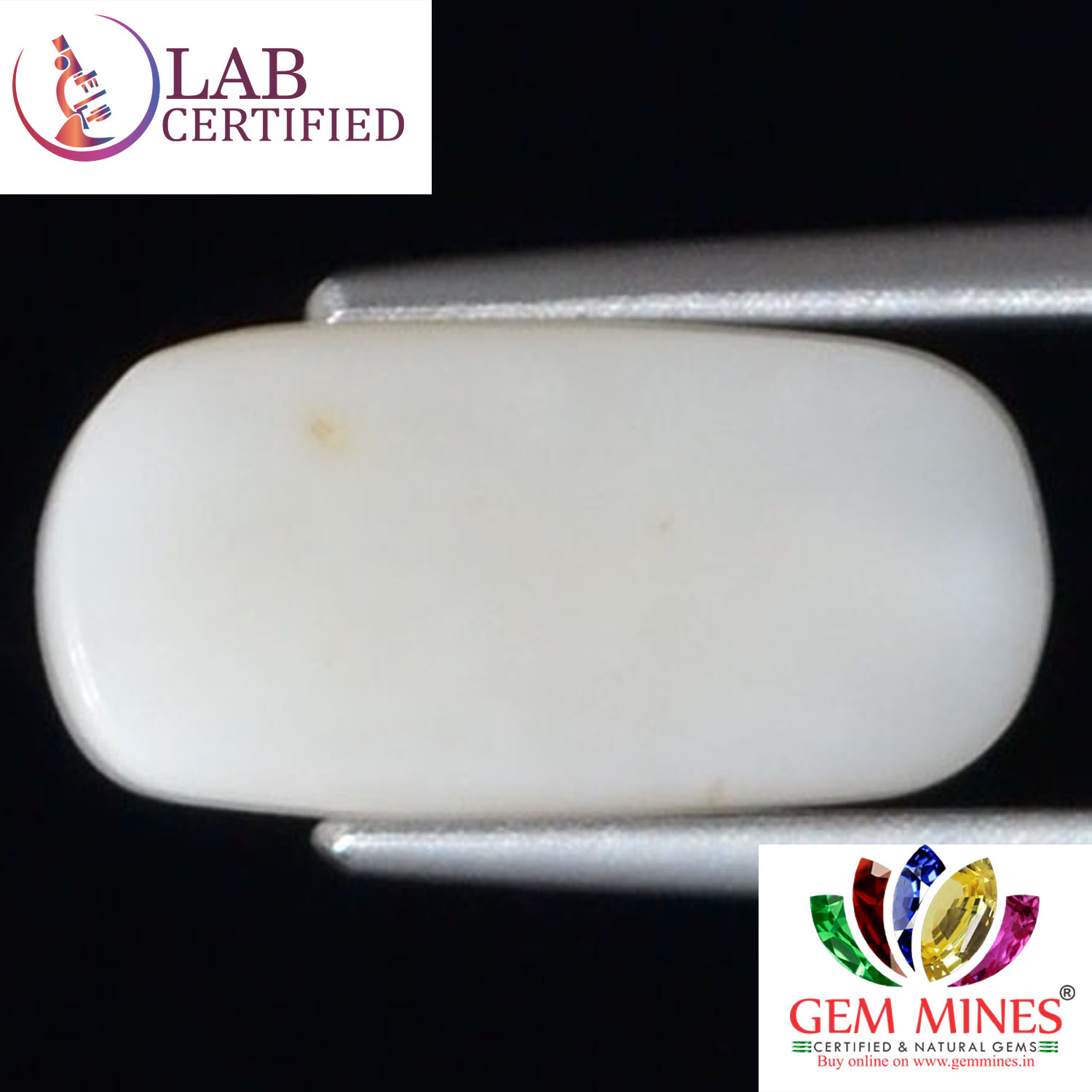 White Coral 3.7 Ct. 3 WC277 2 White Coral 3.7 Ct.