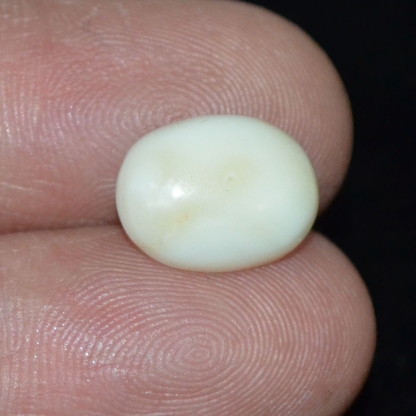 WC279 3 White Coral 4.43 Ct.