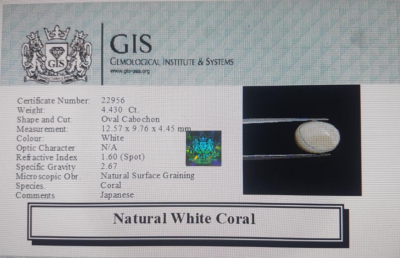 WC279 4 White Coral 4.43 Ct.
