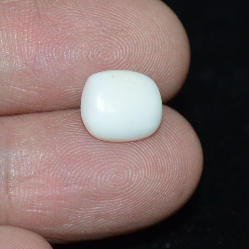 White Coral 2.75 Ct.