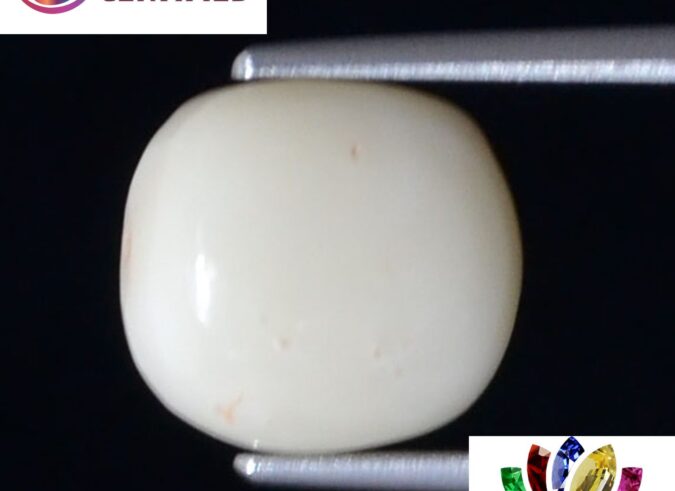 WC281 1 e1680692271995 White Coral 4.93 Ct.