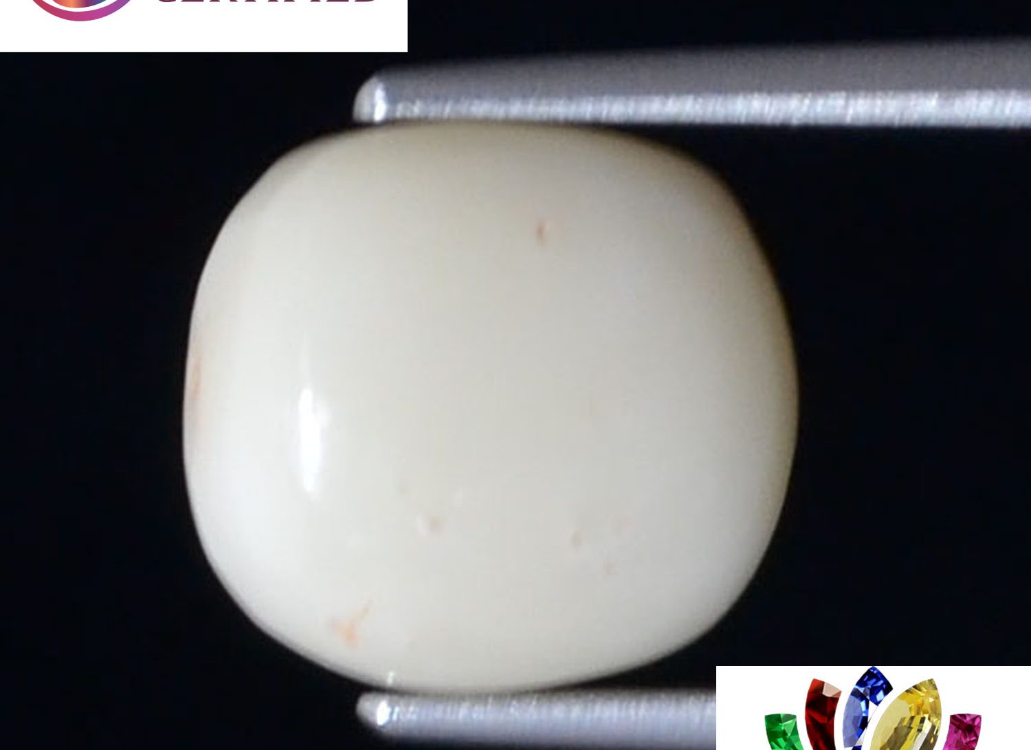 White Coral 4.93 Ct.