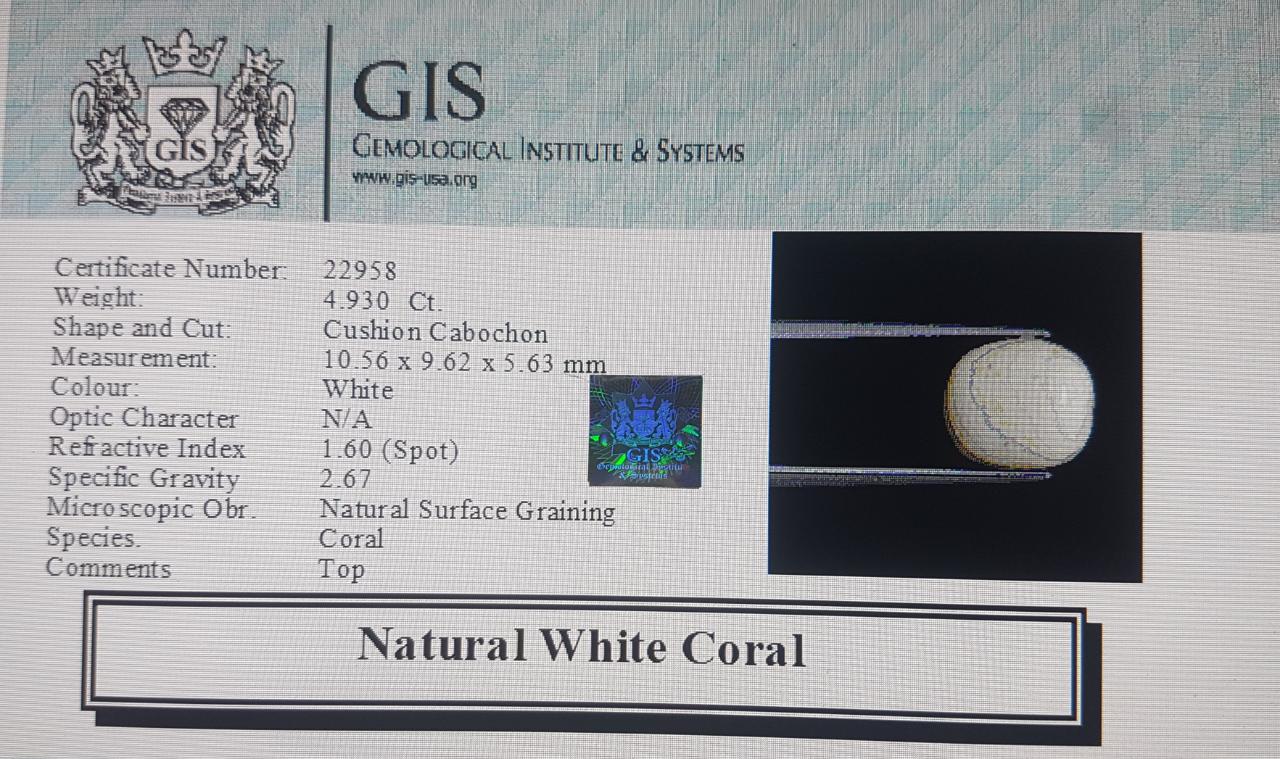 WC281 4 White Coral 4.93 Ct.