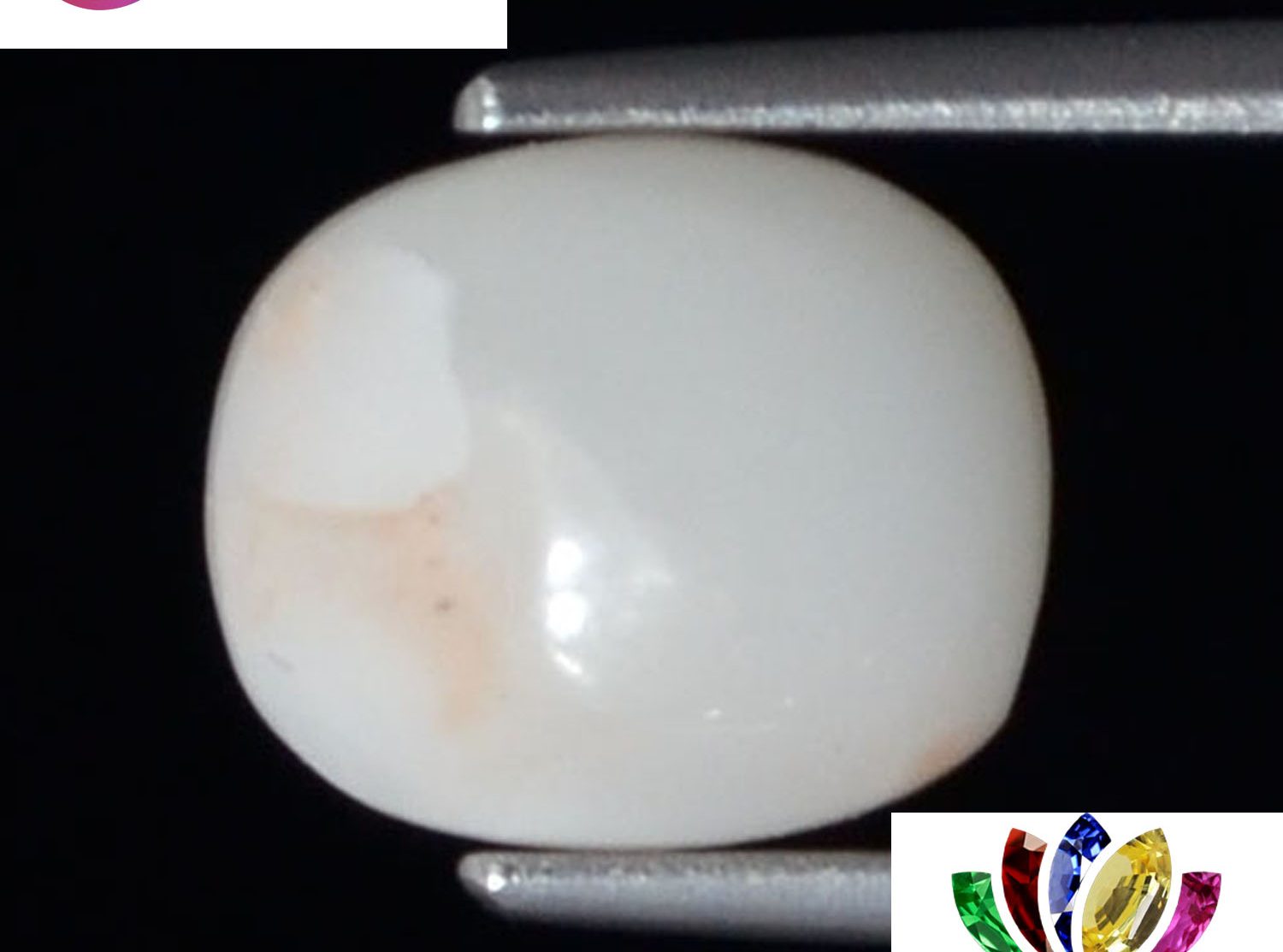 White Coral 2.53 Ct.