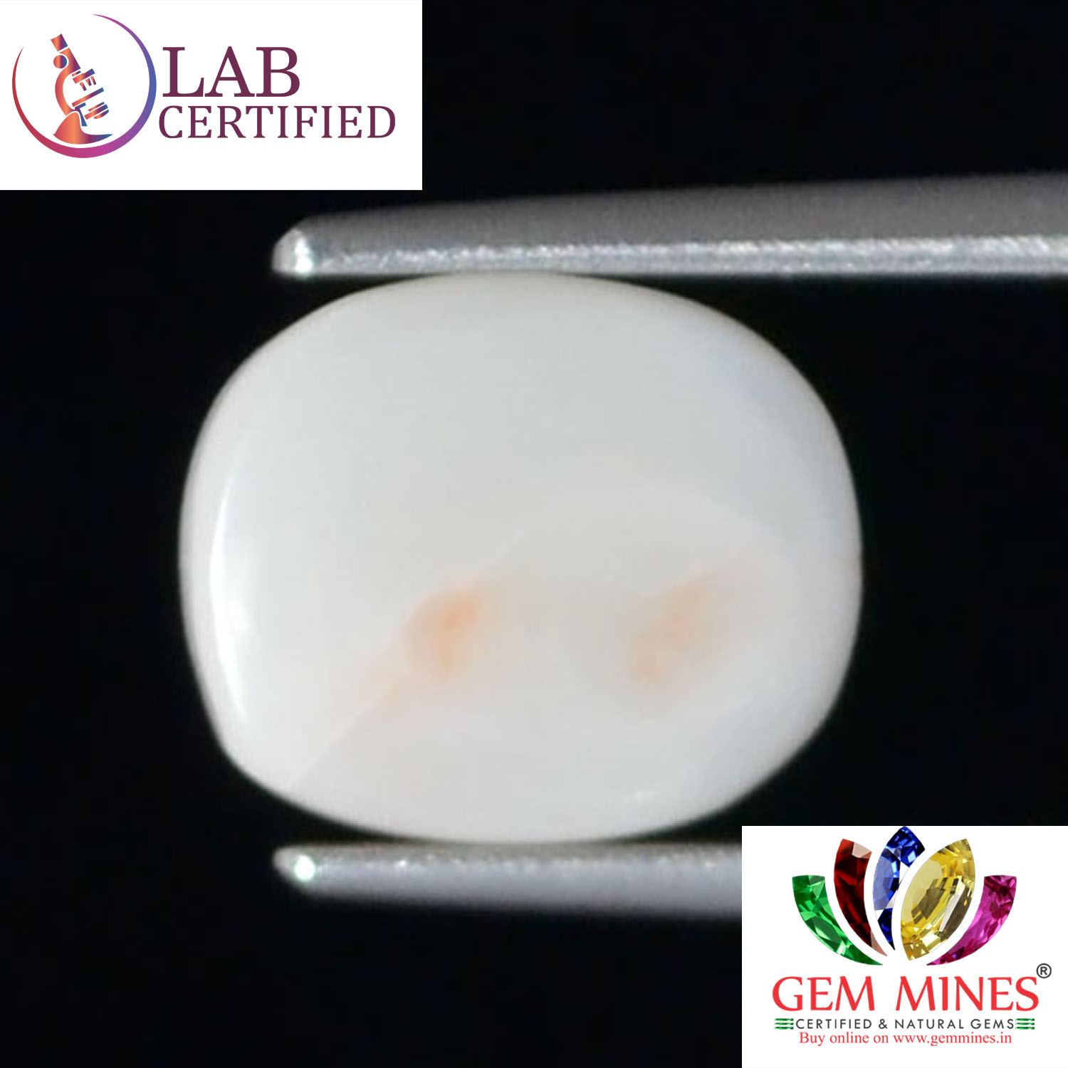 WC282 2 White Coral 2.53 Ct.