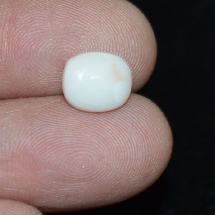 WC282 3 White Coral 2.53 Ct.