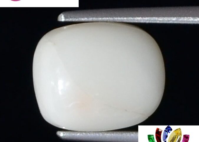 WC283 1 e1680692280838 White Coral 4.74 Ct.