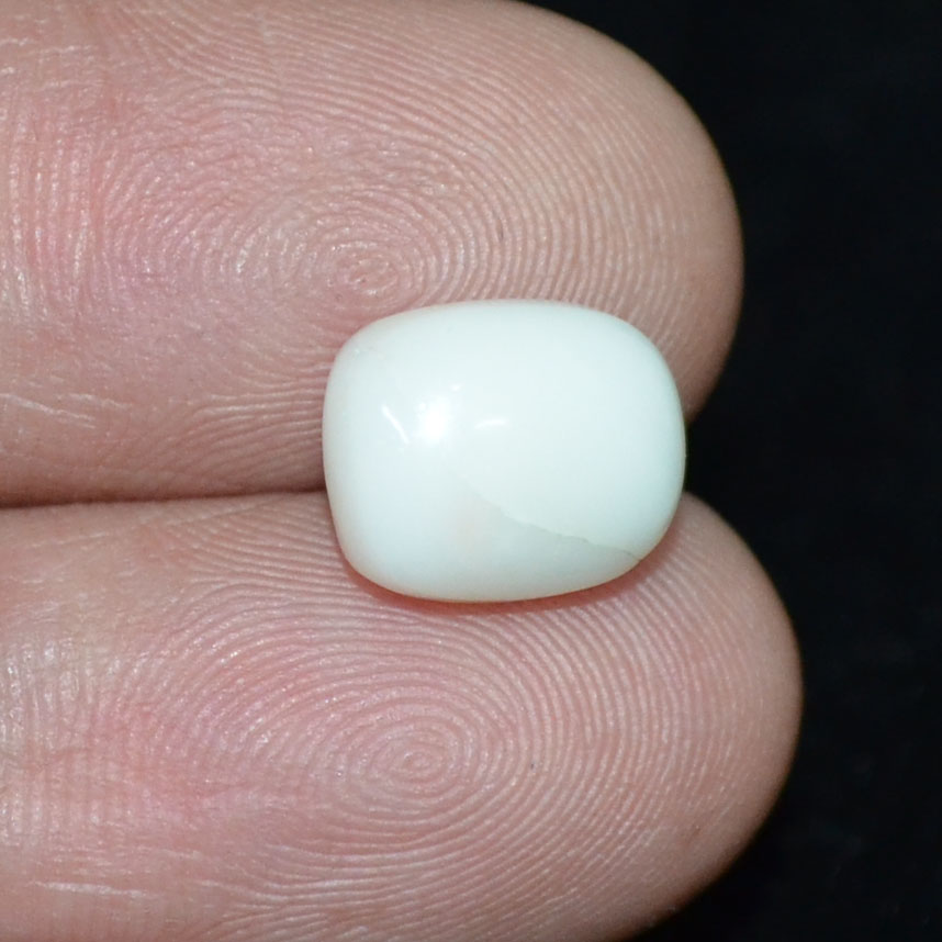 WC283 3 White Coral 4.74 Ct.