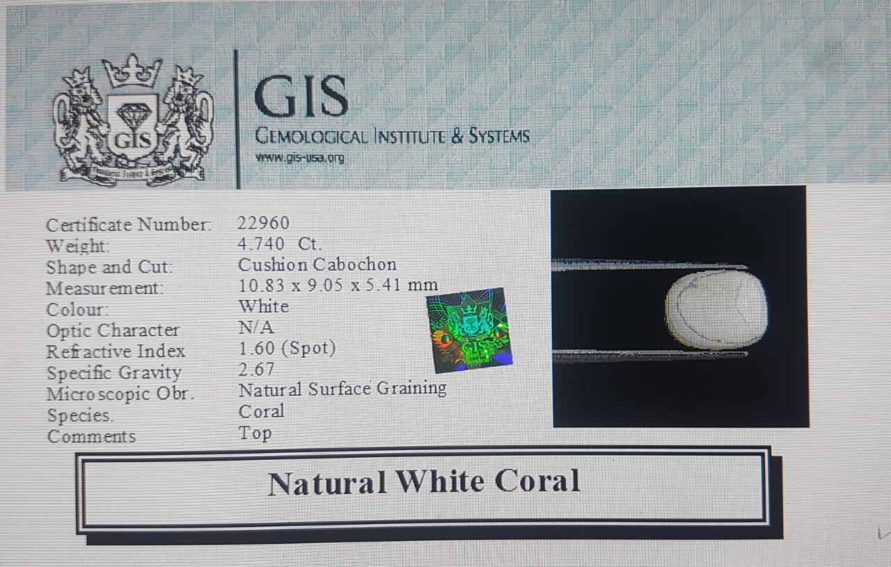 WC283 4 White Coral 4.74 Ct.