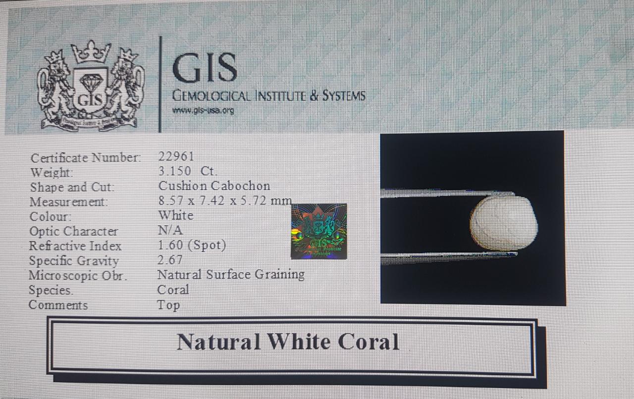 White Coral 3.15 Ct.