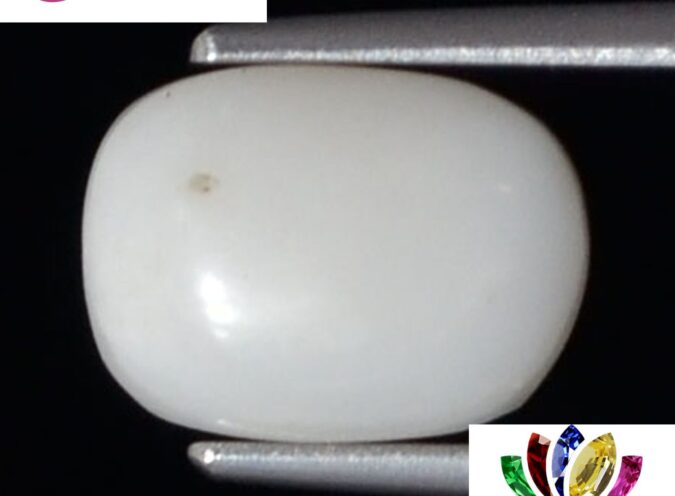 WC285 1 e1680692664887 White Coral 2.95 Ct.