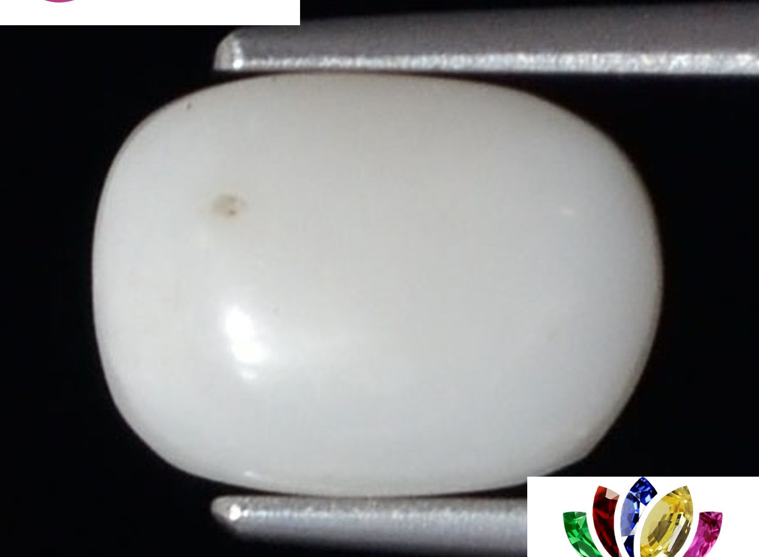 White Coral 2.95 Ct.
