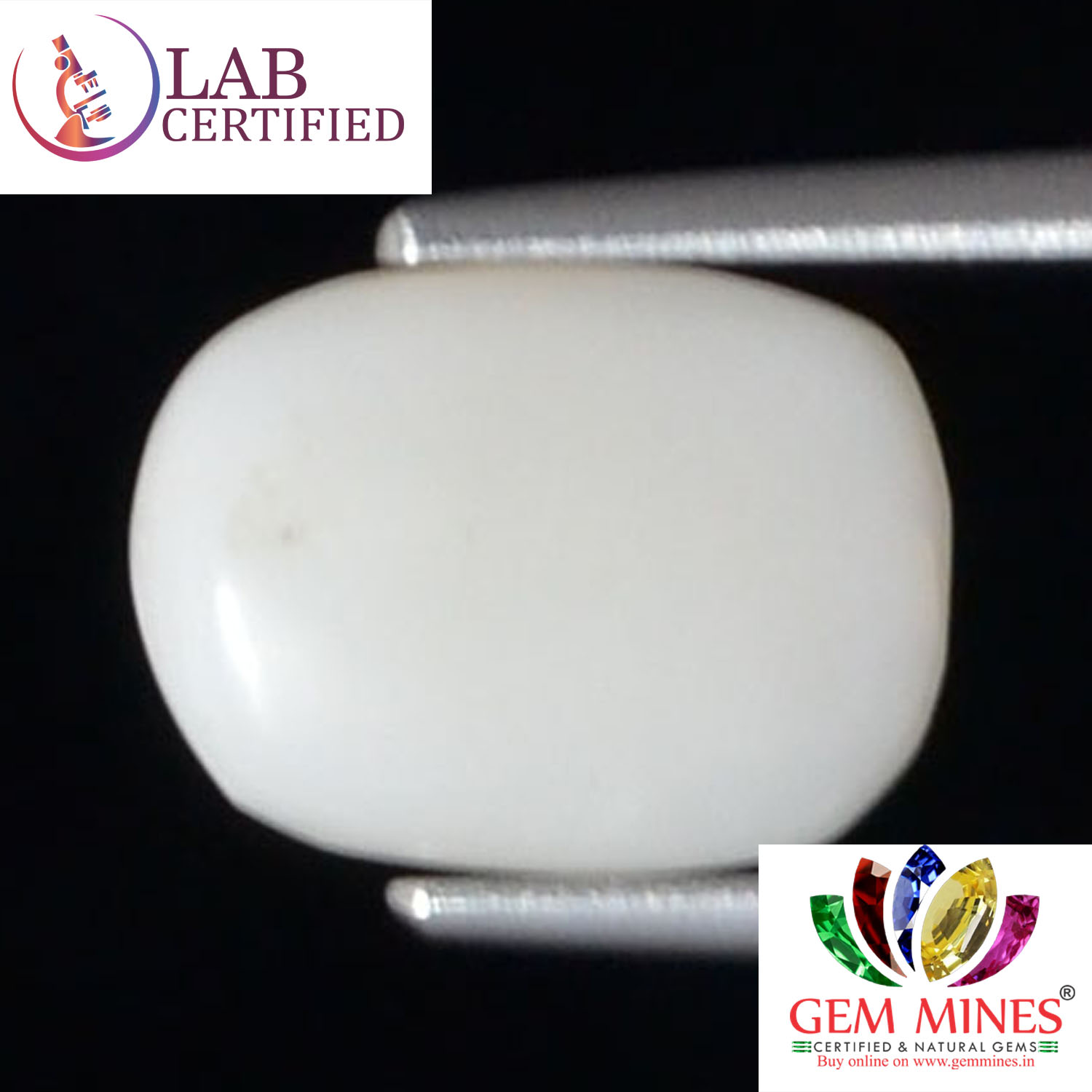 WC285 2 White Coral 2.95 Ct.