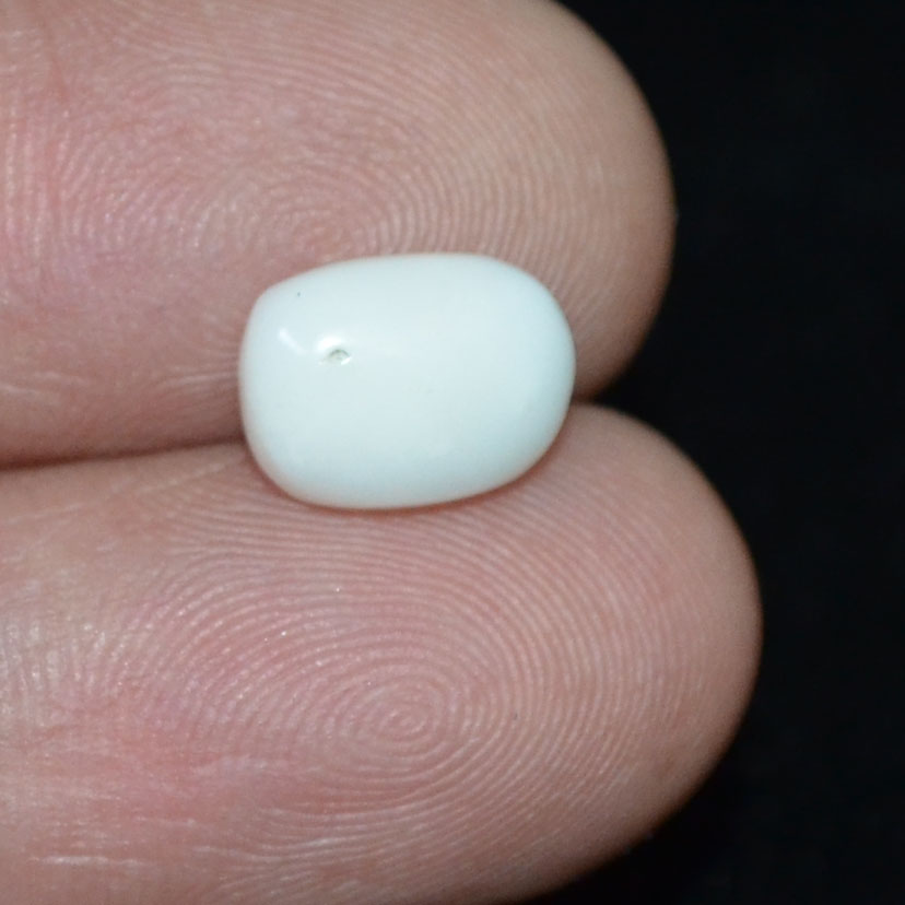 WC285 3 White Coral 2.95 Ct.