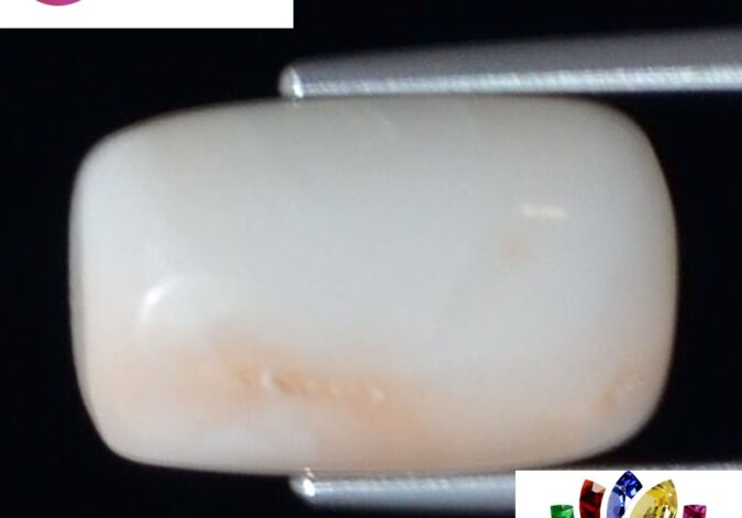 White Coral 6.49 Ct. 1 WC286 1 e1680692676561 White Coral 6.49 Ct.