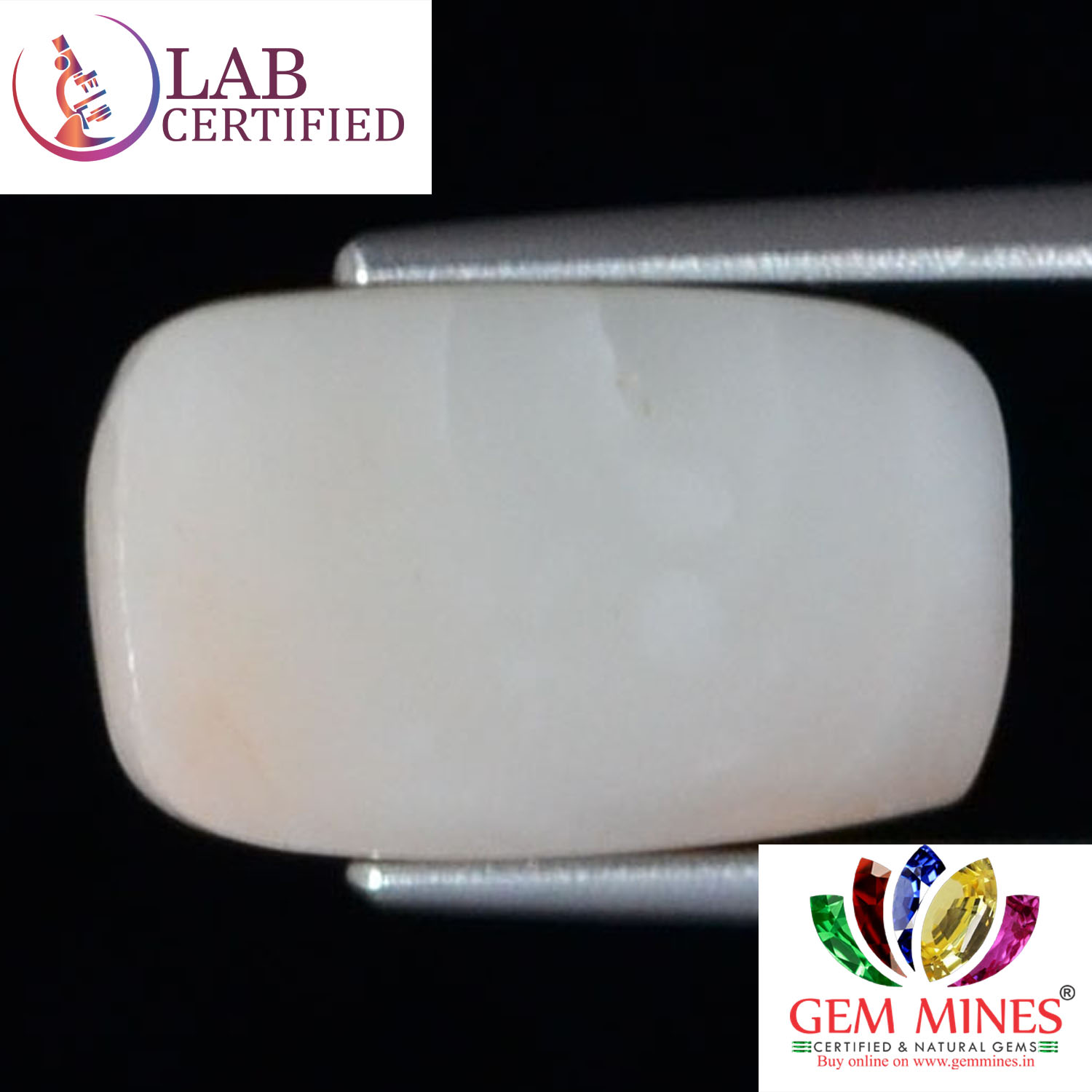 White Coral 6.49 Ct. 3 WC286 2 White Coral 6.49 Ct.