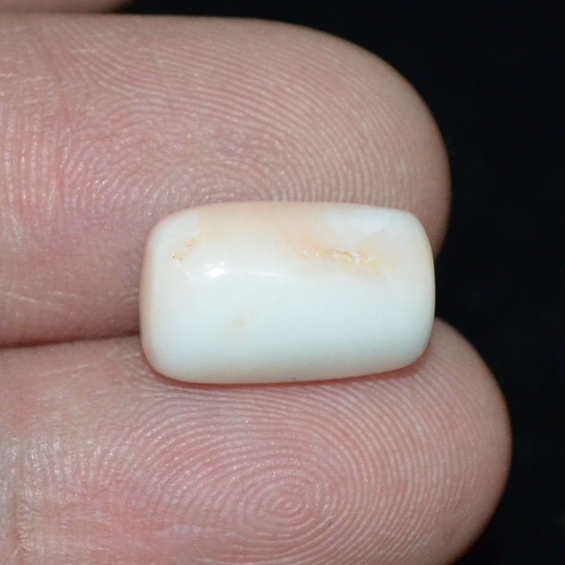 White Coral 6.49 Ct. 4 WC286 3 White Coral 6.49 Ct.