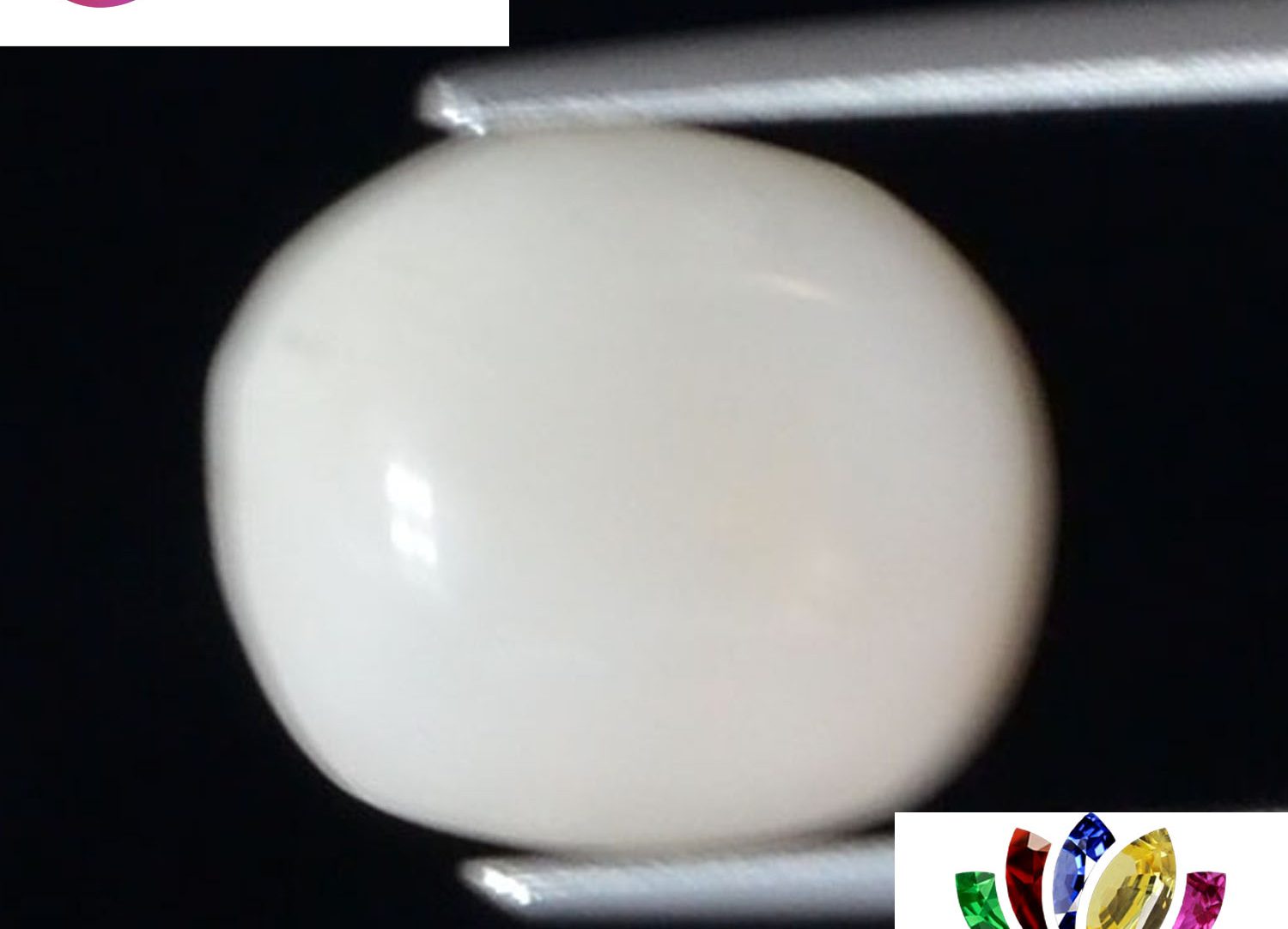 White Coral 3.79 Ct.