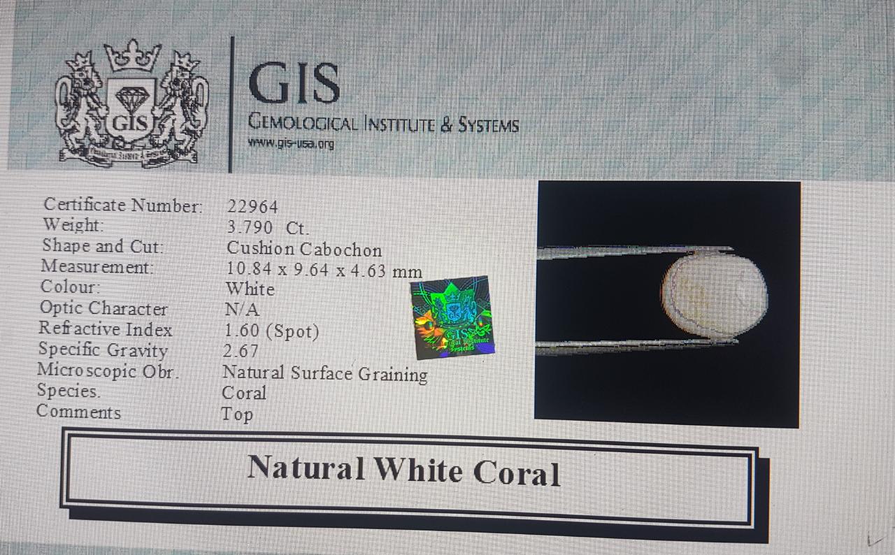 WC287 4 White Coral 3.79 Ct.