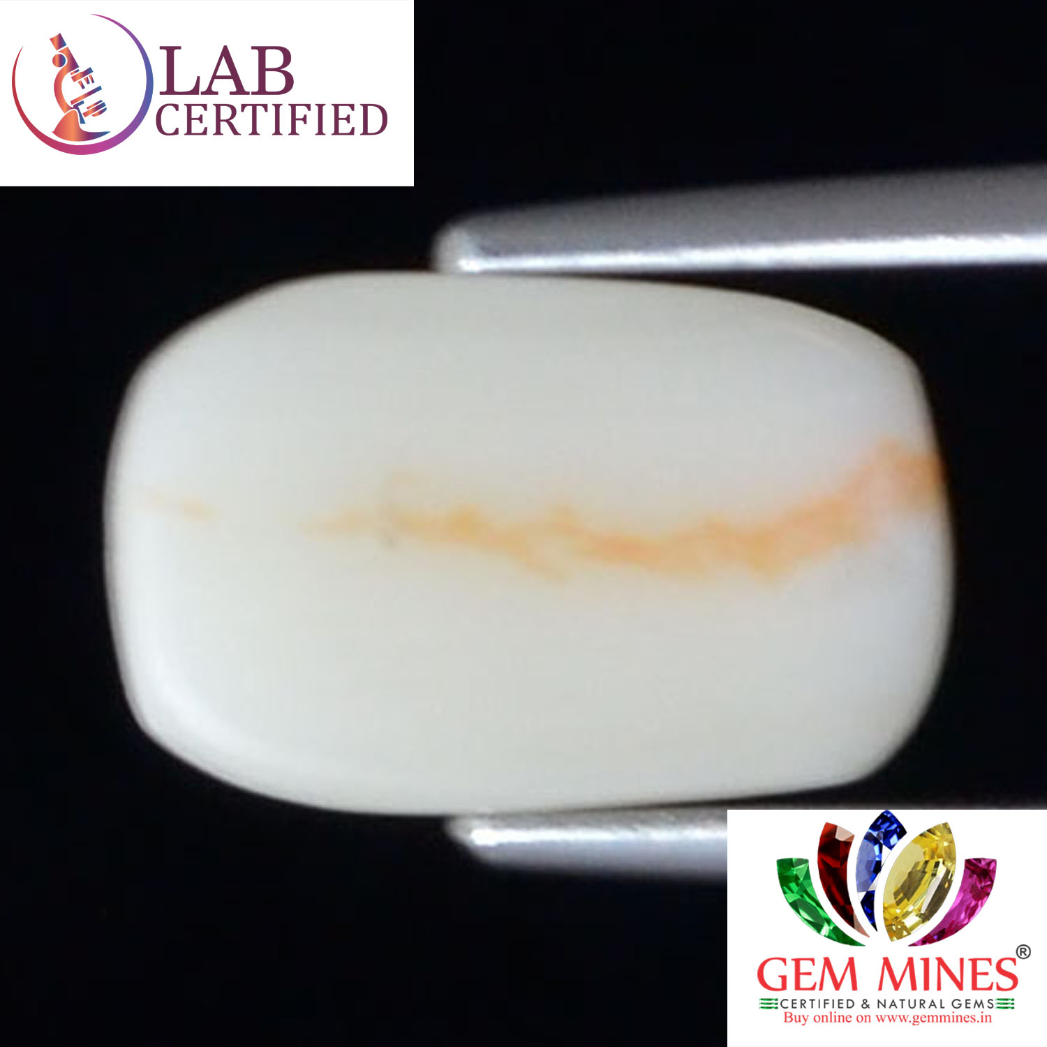 White Coral 2.58 Ct. 3 WC288 2 White Coral 2.58 Ct.