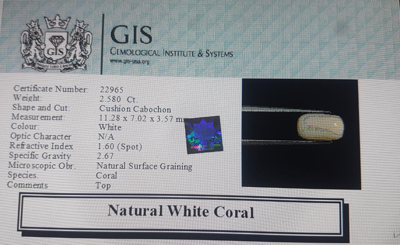 White Coral 2.58 Ct. 5 WC288 4 White Coral 2.58 Ct.