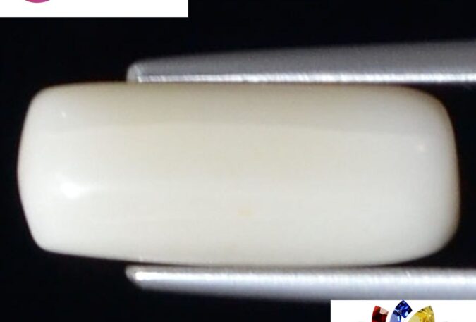 WC290 1 e1680693616165 White Coral 4.59 Ct.