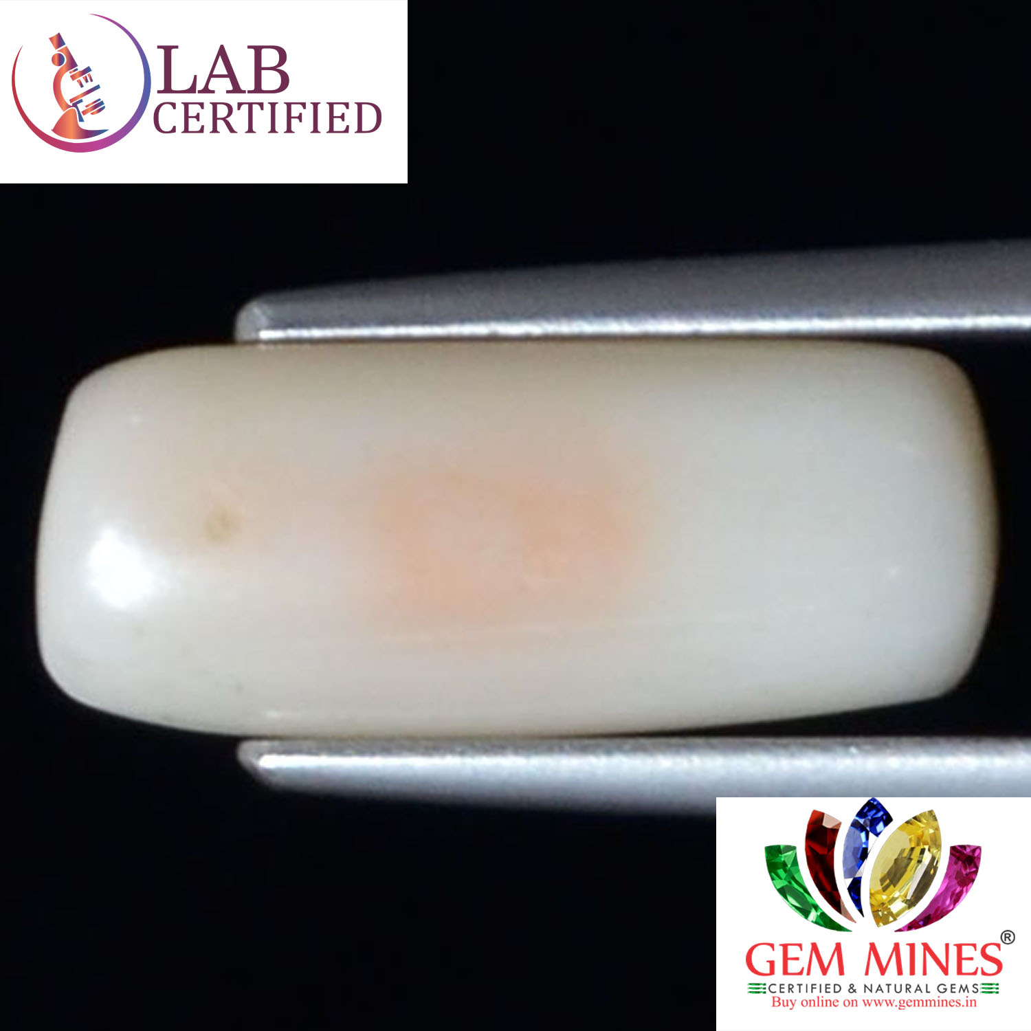 WC290 2 White Coral 4.59 Ct.
