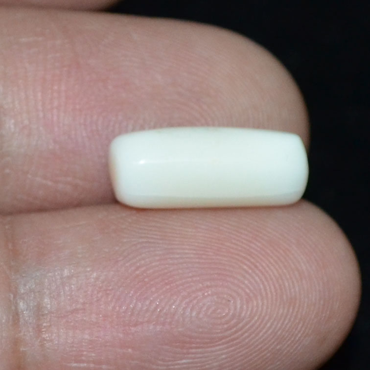 WC290 3 White Coral 4.59 Ct.