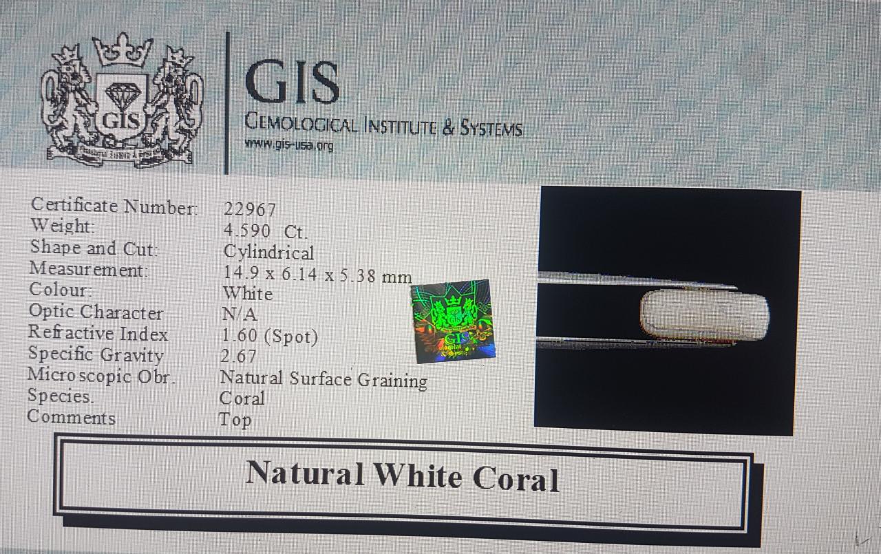 WC290 4 White Coral 4.59 Ct.