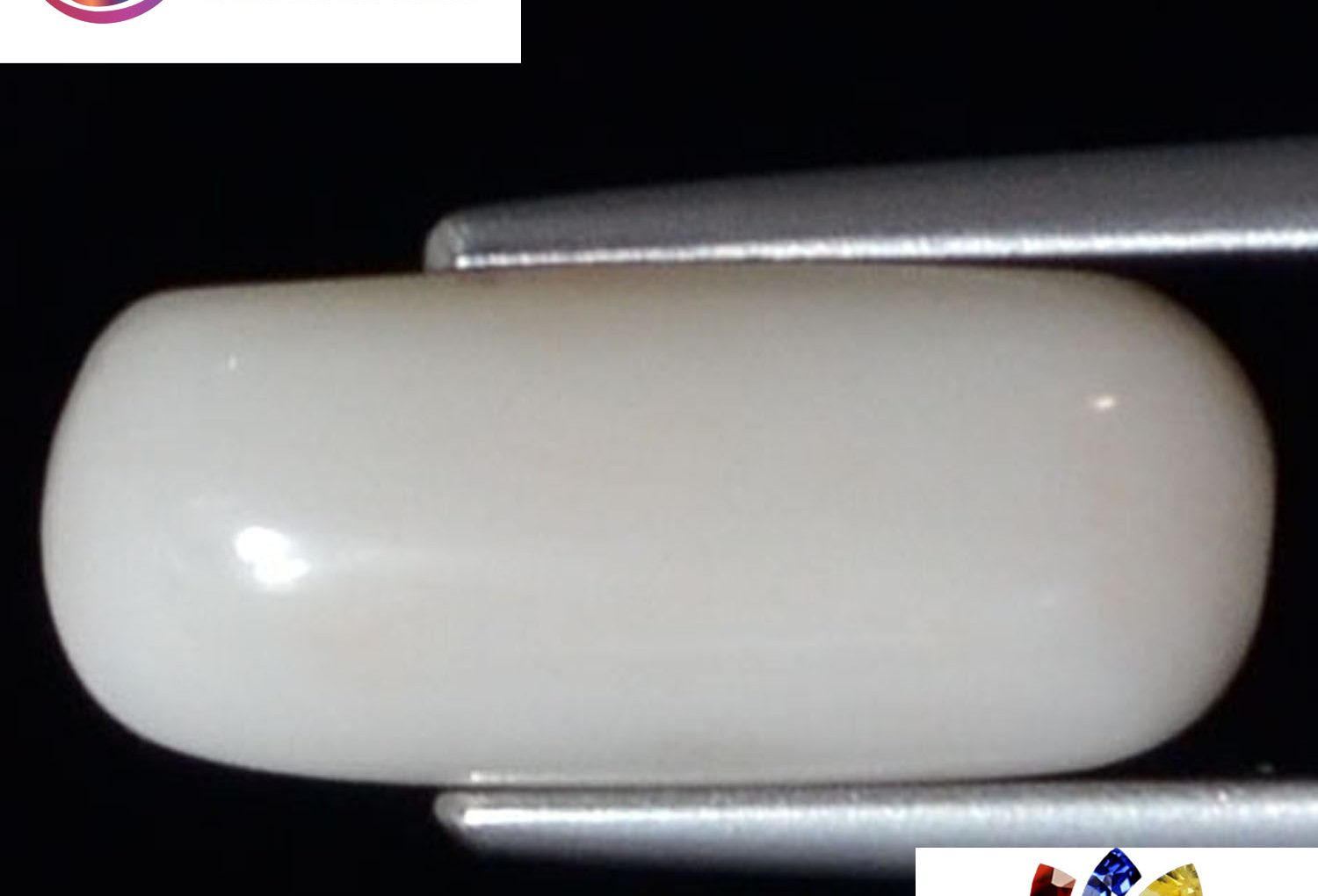 White Coral 4.25 Ct.