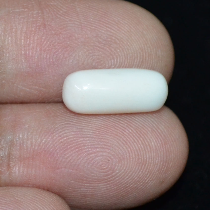 WC291 3 White Coral 4.25 Ct.