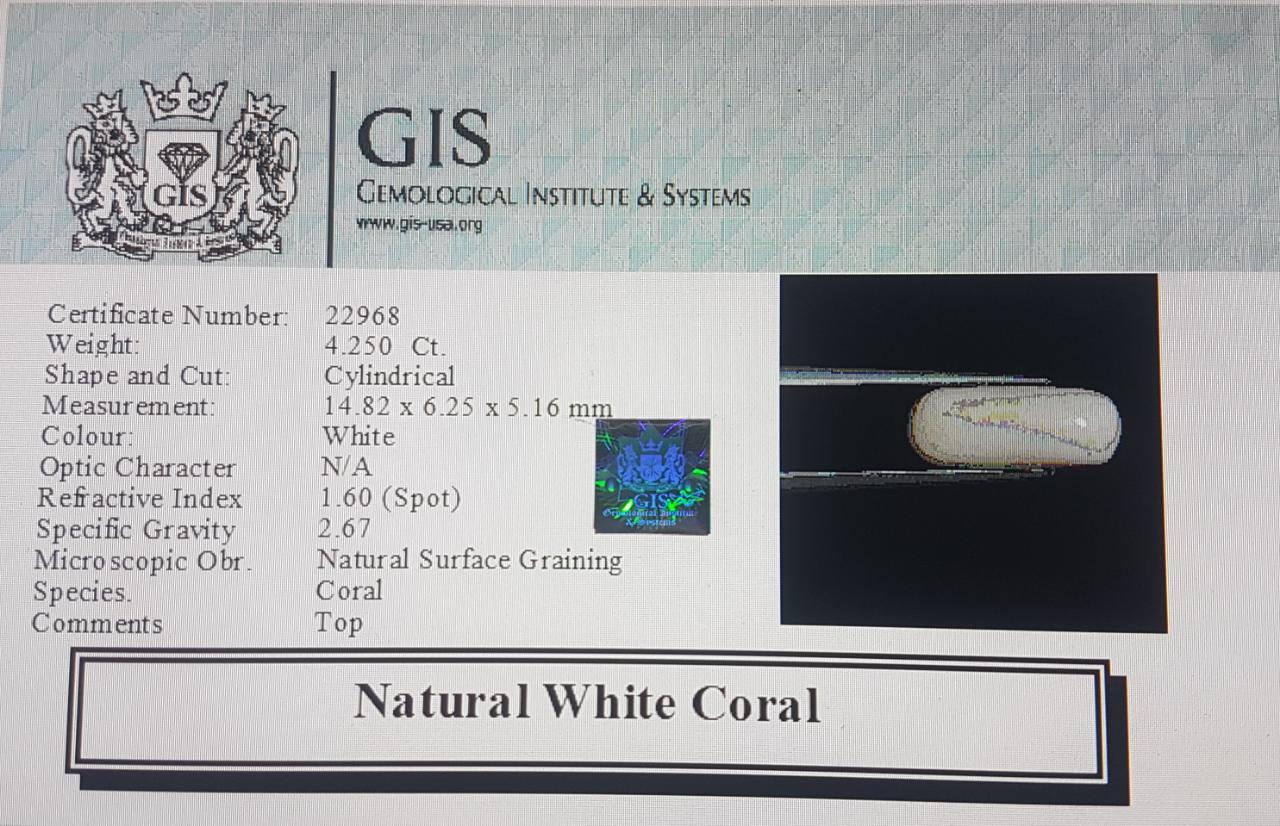 WC291 4 White Coral 4.25 Ct.