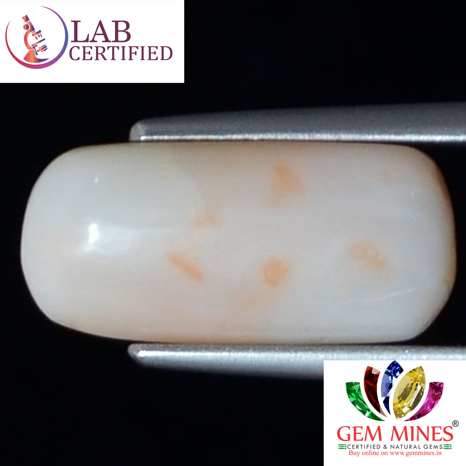 White Coral 5.57 Ct. 3 WC292 2 White Coral 5.57 Ct.