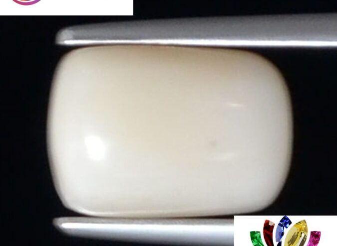 WC293 1 e1680693907237 White Coral 3.82 Ct.